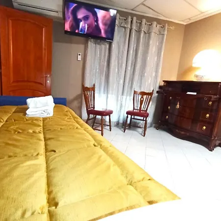 Red Fox * Decimomannu