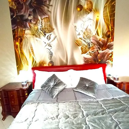 Red Fox * Decimomannu