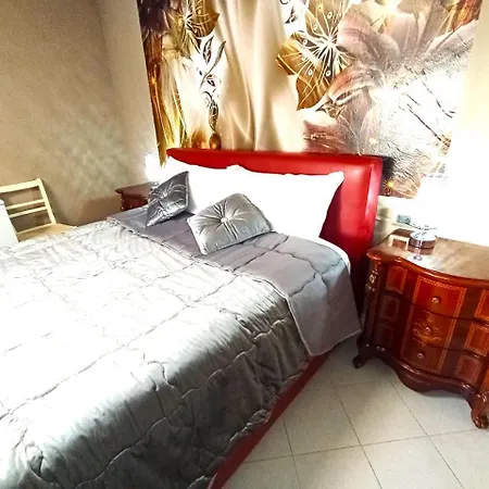 Red Fox * Decimomannu